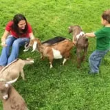 The Friendly Farm photo