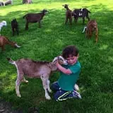 The Friendly Farm photo