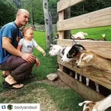 The Friendly Farm photo