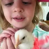 The Friendly Farm photo