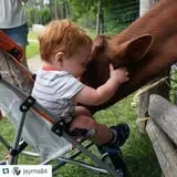 The Friendly Farm photo