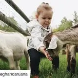The Friendly Farm photo