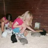 The Friendly Farm photo