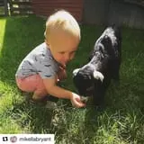 The Friendly Farm photo