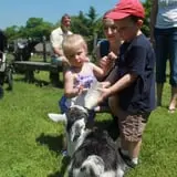 The Friendly Farm photo