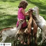 The Friendly Farm photo