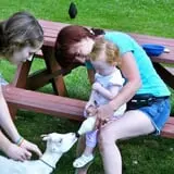 The Friendly Farm photo