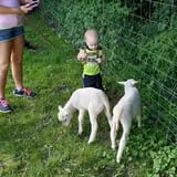 The Friendly Farm photo