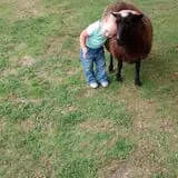 The Friendly Farm photo