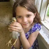 The Friendly Farm photo