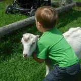 The Friendly Farm photo