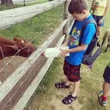 The Friendly Farm photo