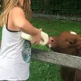 The Friendly Farm photo