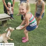 The Friendly Farm photo