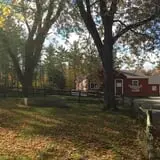 The Friendly Farm photo
