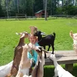 The Friendly Farm photo