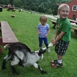 The Friendly Farm photo