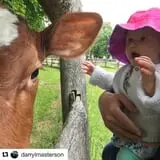 The Friendly Farm photo