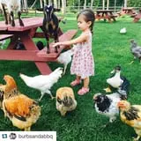 The Friendly Farm photo