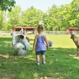The Friendly Farm photo