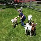 The Friendly Farm photo