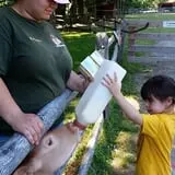 The Friendly Farm photo