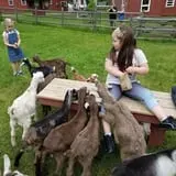 The Friendly Farm photo