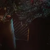 31 Screams photo