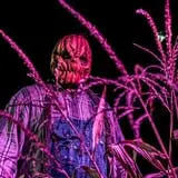 Cinema of Horrors Drive-In Experience