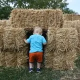 Perryville Pumpkin Farm photo