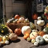 Perryville Pumpkin Farm photo