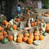 Perryville Pumpkin Farm photo