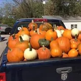 Perryville Pumpkin Farm photo