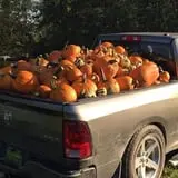 Perryville Pumpkin Farm photo