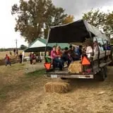 Perryville Pumpkin Farm photo