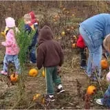Perryville Pumpkin Farm photo