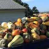 Perryville Pumpkin Farm photo