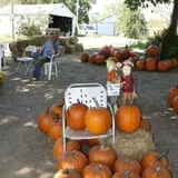 Perryville Pumpkin Farm photo