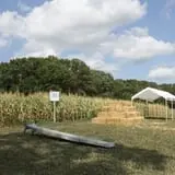 Perryville Pumpkin Farm photo