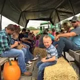 Perryville Pumpkin Farm photo