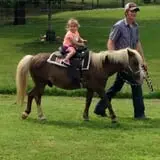 Perryville Pumpkin Farm photo