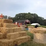 Perryville Pumpkin Farm photo