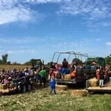 Perryville Pumpkin Farm photo