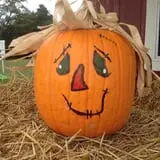 Perryville Pumpkin Farm photo