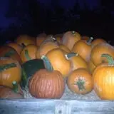 Perryville Pumpkin Farm photo