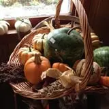 Perryville Pumpkin Farm photo