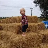 Perryville Pumpkin Farm photo