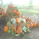Perryville Pumpkin Farm photo