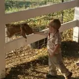 Perryville Pumpkin Farm photo
