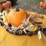 Perryville Pumpkin Farm photo